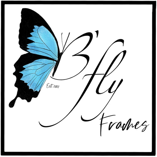 BFlyFrames